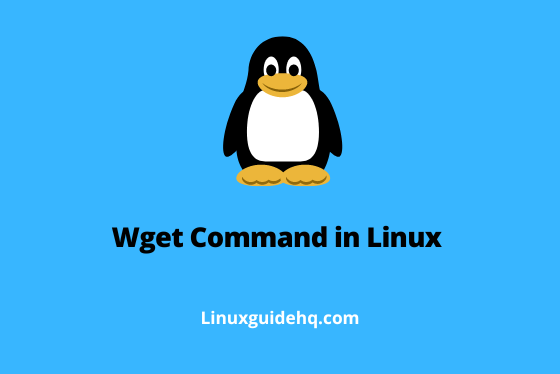 Wget Command in Linux [Examples]