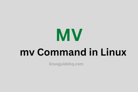 mv command in Linux with examples